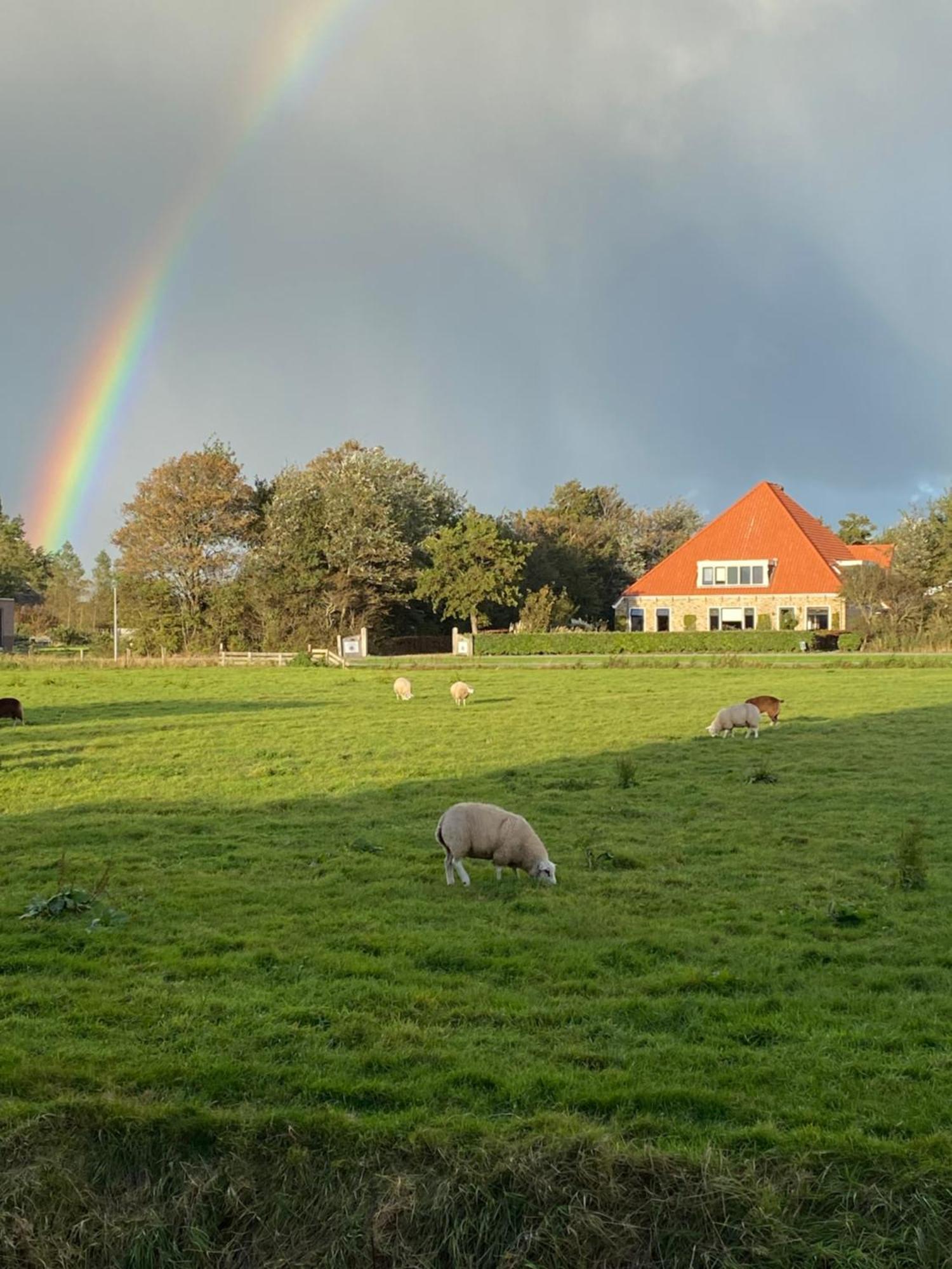 Oomes Huus Haestens And Koffie Den Hoorn  Kültér fotó