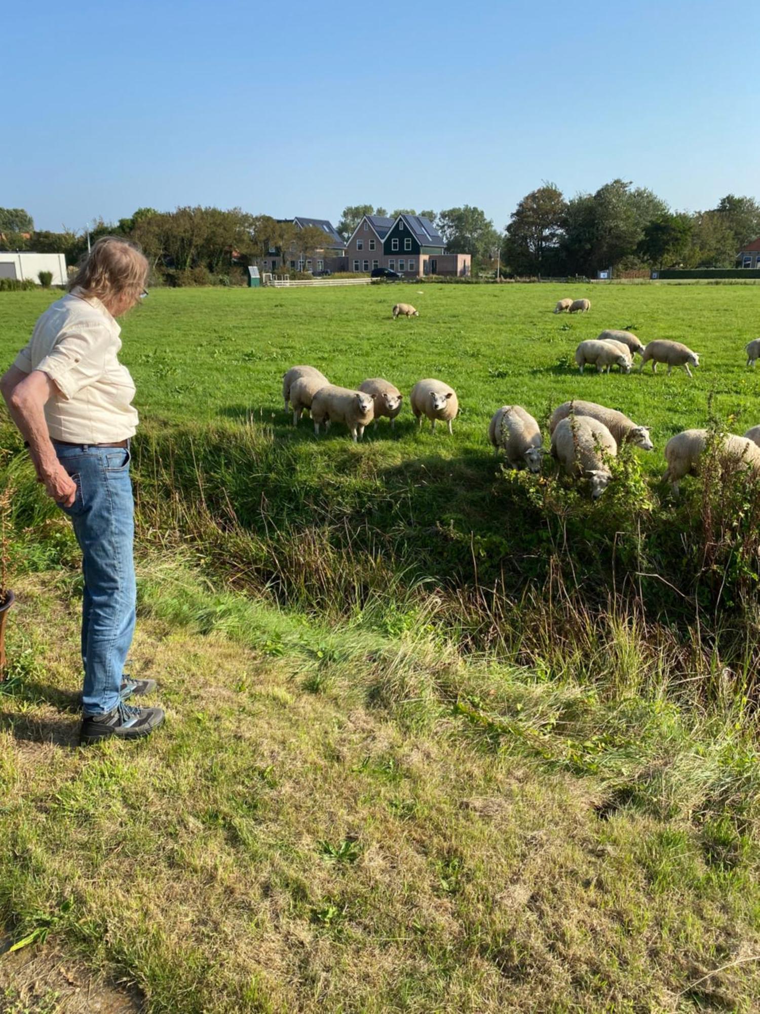 Oomes Huus Haestens And Koffie Den Hoorn  Kültér fotó