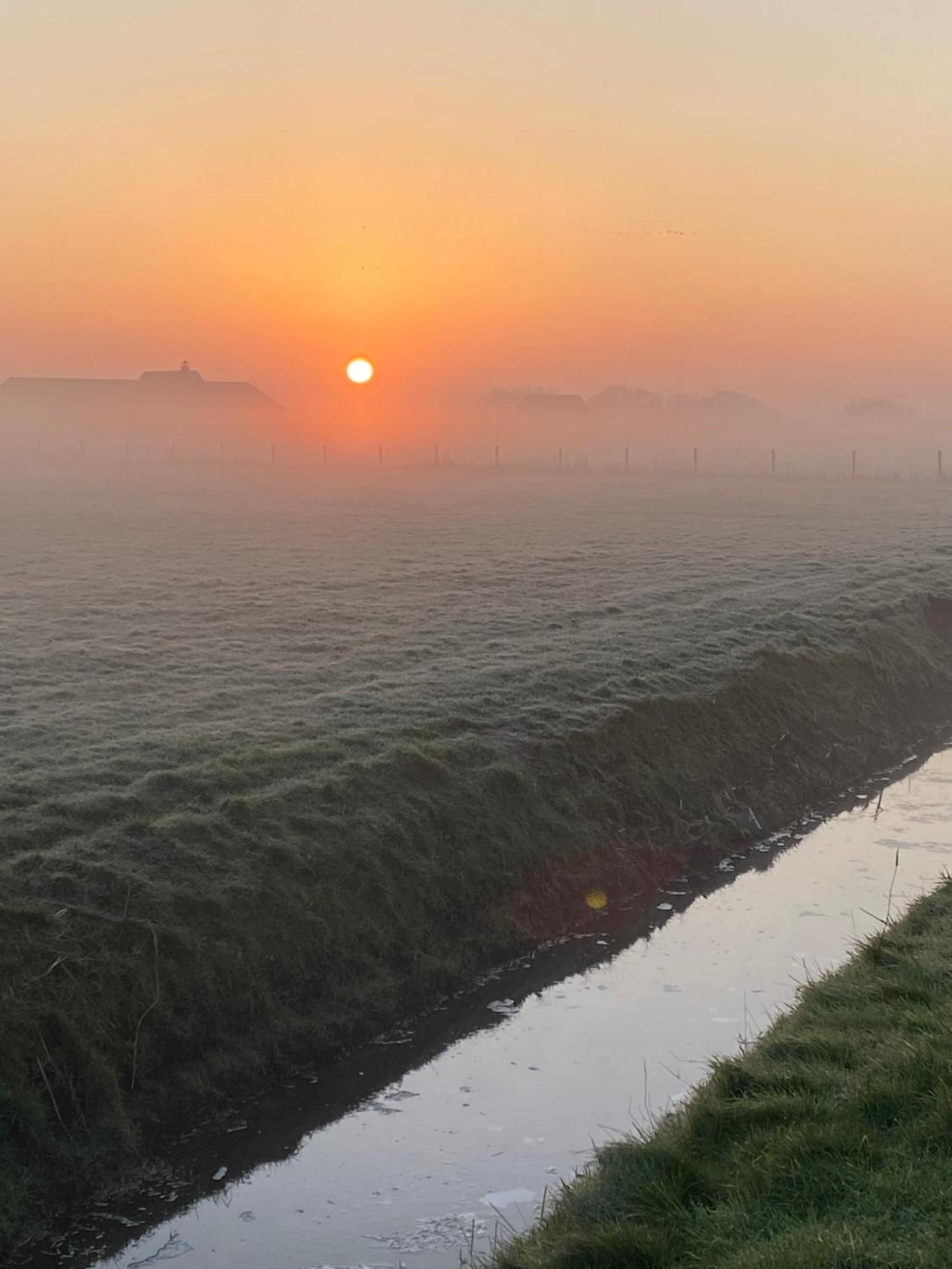 Oomes Huus Haestens And Koffie Den Hoorn  Kültér fotó