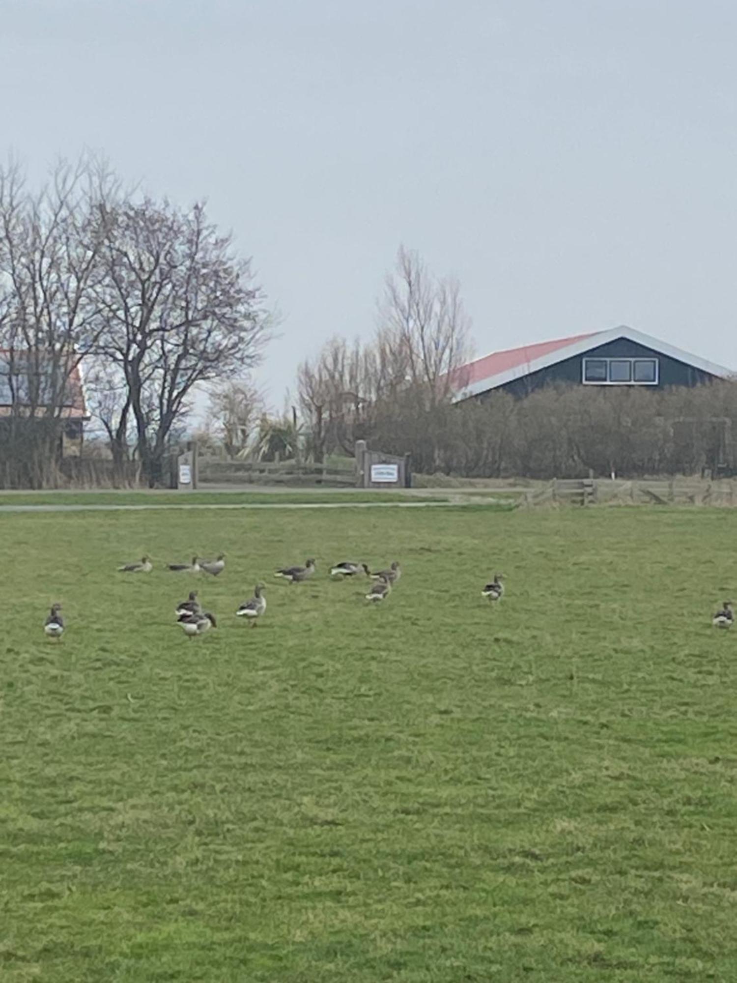 Oomes Huus Haestens And Koffie Den Hoorn  Kültér fotó